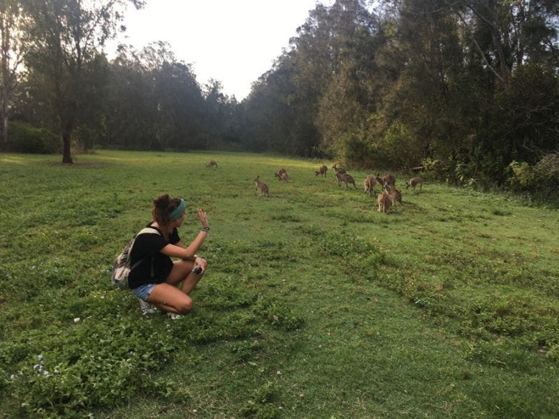 animales salvajes chica morena arrodillada en el césped y detrás canguros saltando